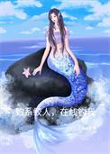 钓系美人免费