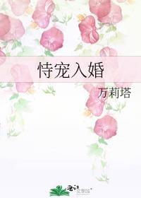 恃宠入婚免费阅读