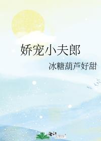 穿越古代娇宠小夫郎