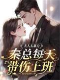 秦夫人无防盗免费阅读
