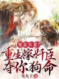 重生之宠妾灭妻