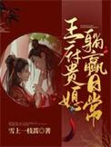 皇府贵妻