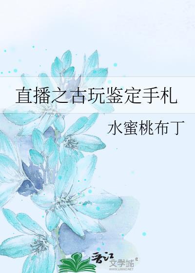直播之古玩鉴定手札 nitian
