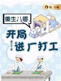 重生八零做生意的