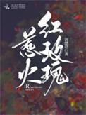 惹火玫魂泰剧