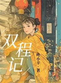 双程记叶小辛 txt 百度盘