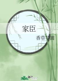 家臣二氧化太
