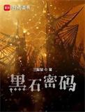 黑石密码精校版