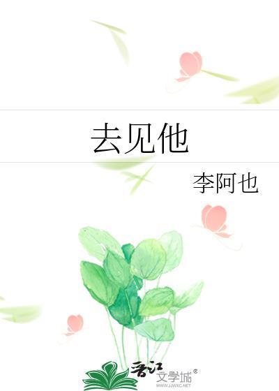 去见他讲的什么