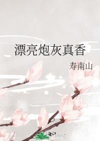 漂亮炮灰 全文
