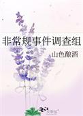 非常规事件调查组全文免费阅读