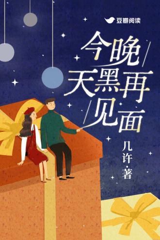 今晚天黑再见面番外