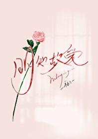 重度爱好者是什么意思