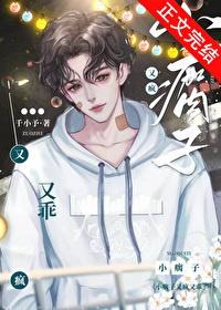 小瘸子txt宝书网