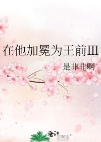 在他加冕为王前2txt