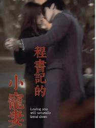程书记的小宠妻原著