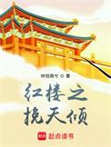 红楼之挽天倾无错字阅读