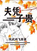 夫凭子贵by凤武鸿飞全文阅读