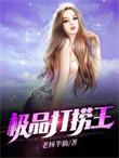 极品打捞王TXT