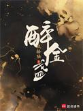 醉金盏txt百度