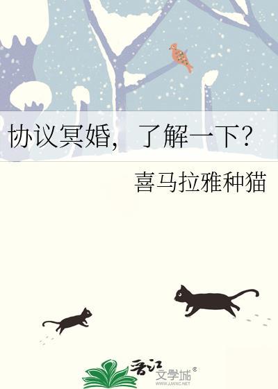 了解一下?免费阅读