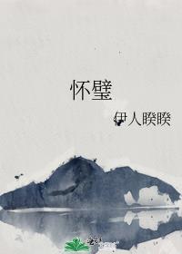 怀璧夜行讲什么