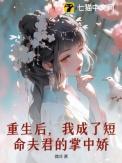 重生之后我成了宠夫