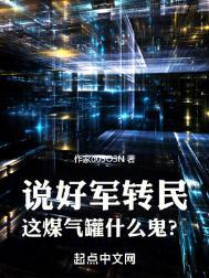 说好军转民这煤气罐什么鬼txt百度