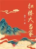 红楼大当家潭子笔趣阁