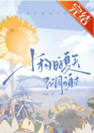 夏天的小狗描写