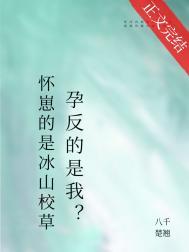 怀崽的是清冷美人