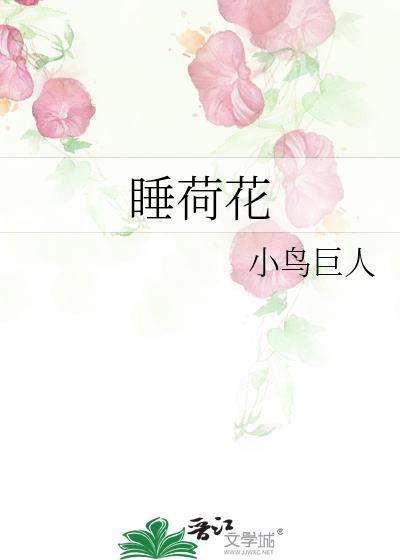 睡荷花晋江