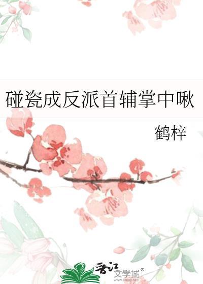 碰瓷成反派首辅掌中啾百度