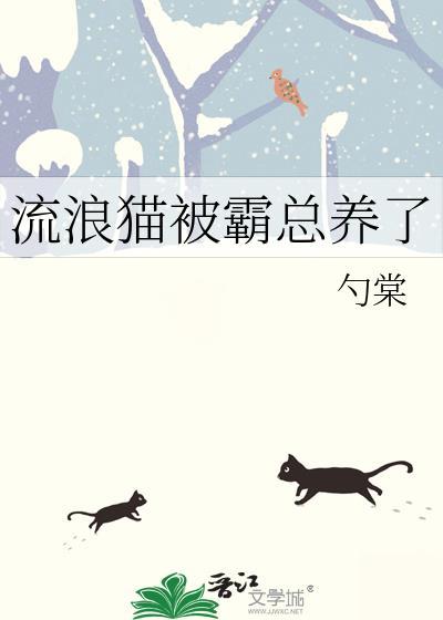流浪猫被其他猫欺负