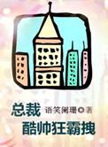 总裁酷帅狂霸拽广播剧cv表