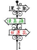 白莲花讲的什么