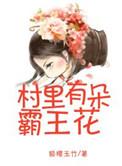 村里有朵霸王花txt微盘