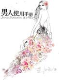 男人使用手册全文免费阅读