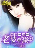 宠妻一加一老婆难做类似