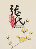 穿越空间之张氏讲什么