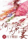 何为贤妻TXT免费