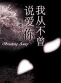 我从不曾伤害你歌词是什么意思