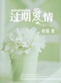 过期爱情番外