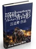 照破青山影讲的啥