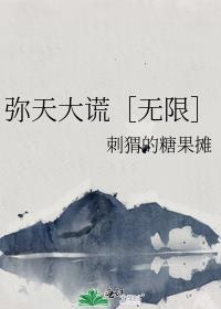 弥天大谎无限免费阅读