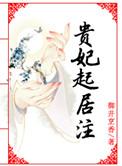贵妃起居注男主死因