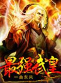 最强武王系统叶枫