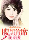 腹黑首席宠妻如命免费