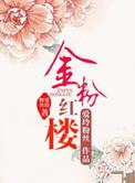 金粉世家民国版红楼梦