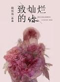 致灿烂的你 番外